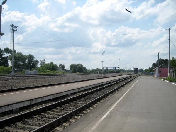 Direkt järnvägsspår genom en liten station utanför staden på en sommardag. Stålskenor läggs längs en låg plattform. En rovfågel svävar under molnen. — Stockfoto
