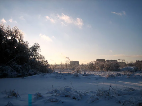 In winter, the city Park, trees and shrubs are buried in snow at sunset on a clear frosty day. The branches of the trees bend under the weight of the snow. Frost. Winter.