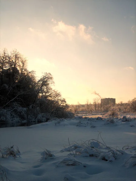 No inverno, o parque da cidade, árvores e arbustos são enterrados na neve ao pôr do sol em um dia gelado claro. Os ramos das árvores dobram-se sob o peso da neve. Frost. Inverno . — Fotografia de Stock