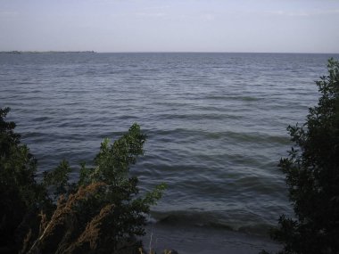 Kumlu sahilde soluk bir dalga kırılıyor. Ağaçlar ve çalılar kıyıda yetişir. Geç oluyor..