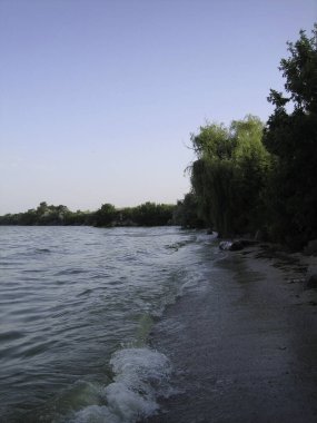 Kumlu sahilde soluk bir dalga kırılıyor. Ağaçlar ve çalılar kıyıda yetişir. Geç oluyor..