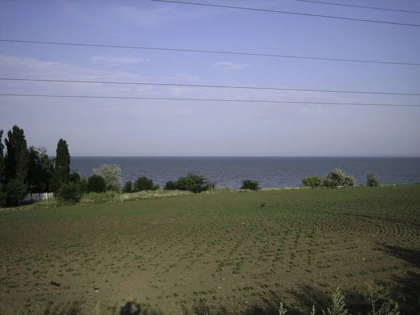 Campo Semeado Terras Agrícolas Com Sulcos Suaves Rasos Praia Dia — Fotografia de Stock