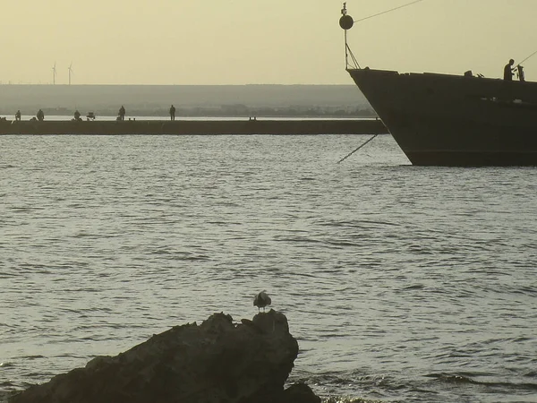 Σιλουέτα Ενός Πλοίου Χάλυβα Στο Οδόστρωμα Κοντά Στην Ακτή Ηλιοβασίλεμα — Φωτογραφία Αρχείου