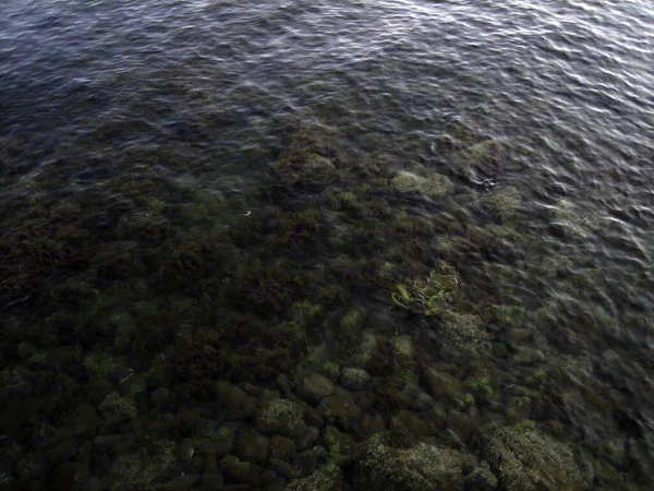 浅水清澈海水中的卵石 — 图库照片