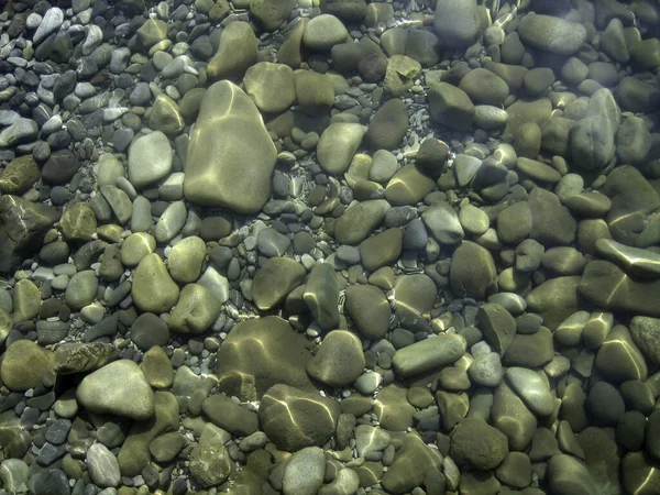 Kiezels Rotsen Zeewier Zeebodem Door Helder Water Ondiep Water — Stockfoto