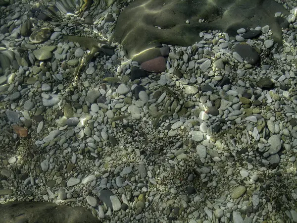 Guijarros Rocas Algas Fondo Del Mar Través Agua Clara Aguas — Foto de Stock