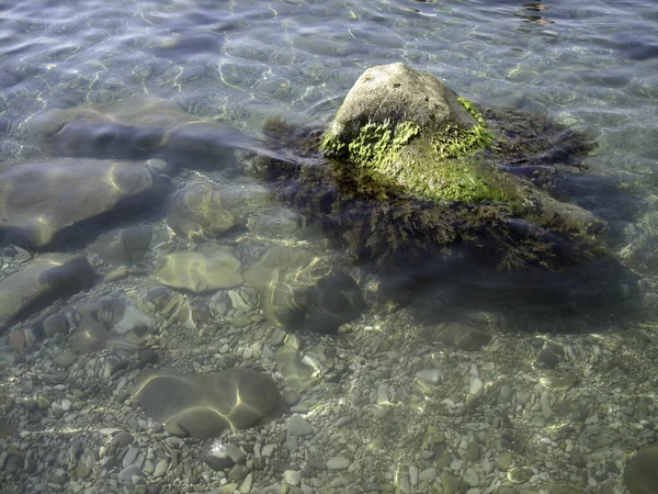 Skała Pokryta Wodorostami Wybrzeżu Przez Czystą Wodę Można Zobaczyć Dno — Zdjęcie stockowe