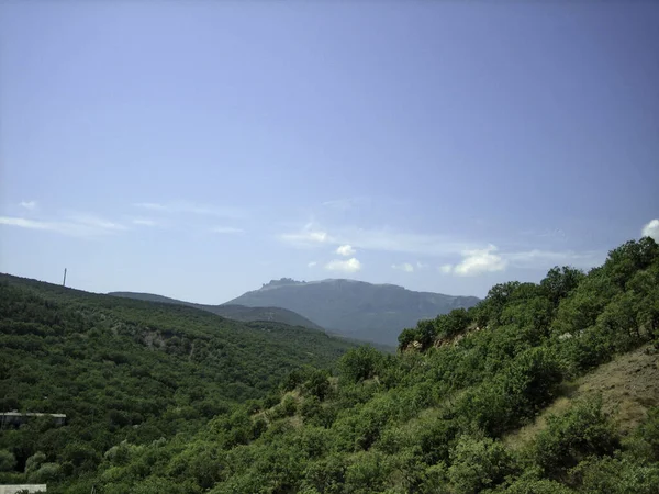 Tal Der Hügel Mit Niedrigen Grünen Wäldern Bedeckt Der Ferne — Stockfoto