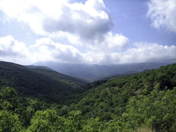 Dolina Wzgórz Pokryta Niskim Zielonym Lasem Oddali Sylwetki Wysokich Gór — Zdjęcie stockowe