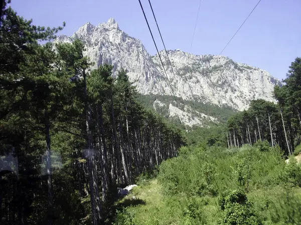 Cordas Teleférico Vão Até Topo Montanha Acima Uma Floresta Baixa — Fotografia de Stock