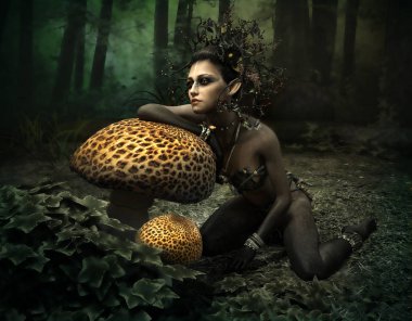 Kara Orman Perisi, 3D CG
