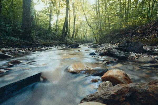 봄에서 산 숲에서 폭풍우 강. 천연 성분 — 스톡 사진