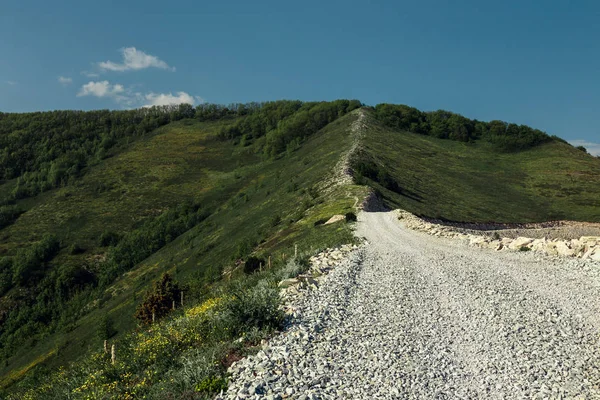 Dağın zirvesine giden dağ yolu — Stok fotoğraf