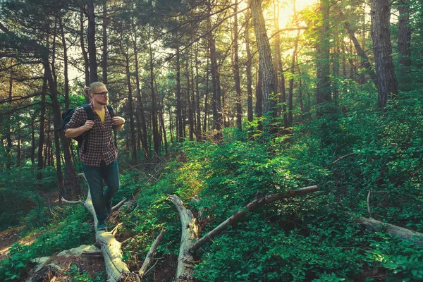 Un turist cu rucsac se plimbă prin pădure în ziua însorită — Fotografie, imagine de stoc