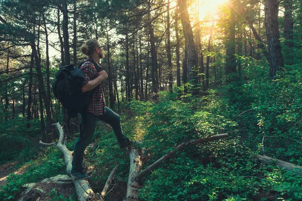 Turista con mochila pasea por el bosque y disfruta de la vista del sol — Foto de Stock