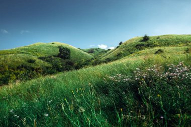 Yaz aylarında yeşil tepeler