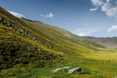 Yaz aylarında dağ Vadisi. Elbrus bölgesi, Kuzey Kafkasya. Rusya
