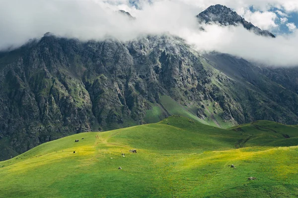 Paisaje pintoresco. Green Hills, Meadow And Mountains In The Clouds (en inglés). Elbrus, Cáucaso Norte, Rusia —  Fotos de Stock