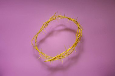 Dikenli leylak arka plan, üstten görünüm üzerinde sarı taç