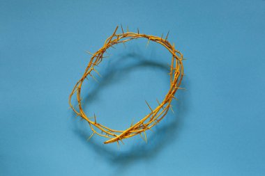 Dikenli mavi arka plan, üstten görünüm üzerinde sarı taç