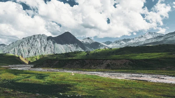 Güzel manzara koyun Elbrus bölgede dağ Nehri yakınında için yaz aylarında ovalar. Jyli Suu, Kuzey Kafkasya, Rusya Federasyonu — Stok fotoğraf