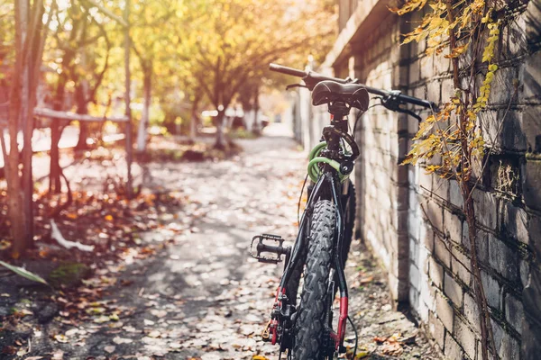 Bicyle Encuentra Cerca Una Pared Ladrillo Vista Trasera Actividad Fin — Foto de Stock