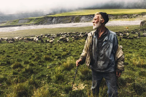 Berger Avec Moutons Sur Terrain Dans Les Montagnes Vue Face — Photo