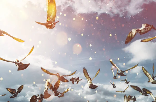 Mavi güneşli gökyüzünde uçan güvercinler sürüsü. Özgürlük barış