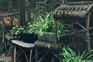 Bahçe ve eski mobilya, yeşil Bahçe, iç detaylar