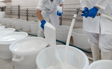 Peynir Maker bitki görevli bir plastik süt fermantasyon ile tam Tank. Geleneksel peynir yapma kavramı