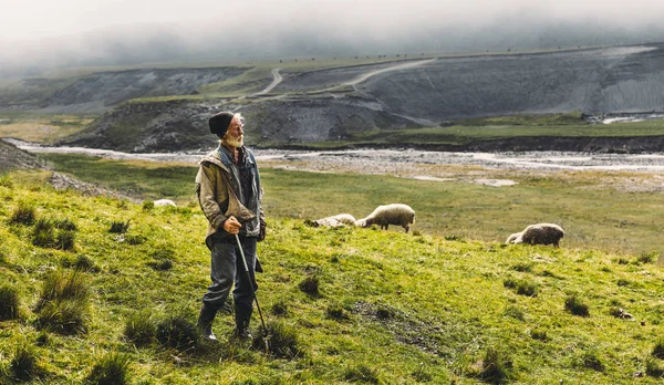 Porträtt av herde med fåren på fältet i bergen, med kopia-utrymme. Jordbruk-konceptet — Stockfoto