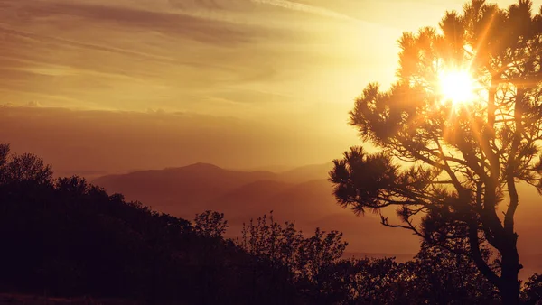 Sunset Teki Resimli Dağ Manzarası Parlak Güneş Ağaçların Dallarından Geçer — Stok fotoğraf