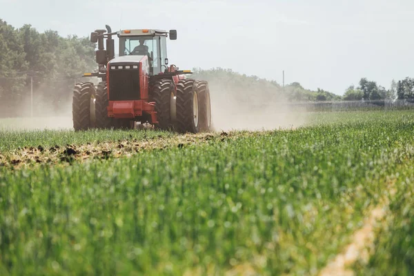 Rød Traktor Det Grønne Feltet Restaurering Mark – stockfoto