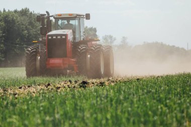 Güneşli bir günde yeşil bir tarlada kırmızı traktör toprağı sürüyor.