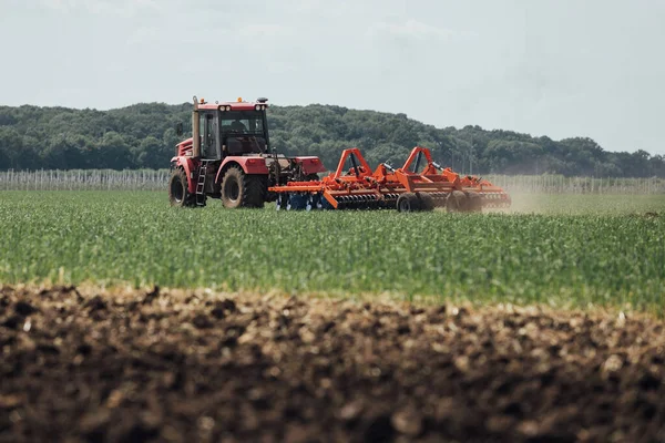 Rød Traktor Grøn Mark Solrig Dag Pløjer Jorden - Stock-foto