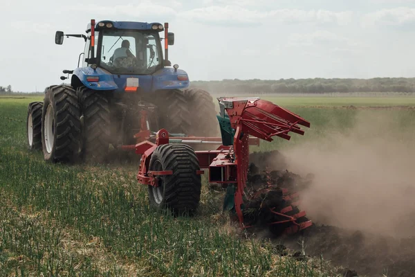 Rød Plov Processer Løsner Jorden Mens Den Blå Traktor Bevæger - Stock-foto