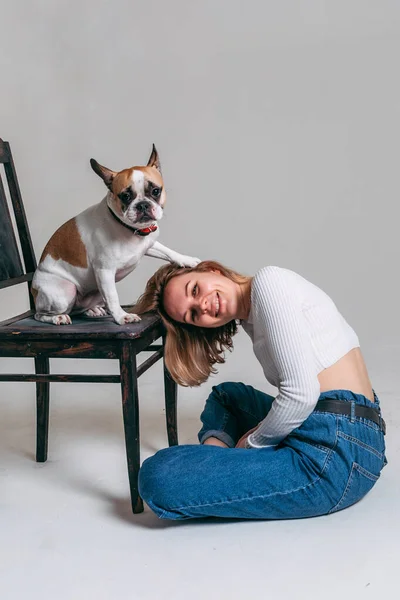 Bulldog Francês Senta Uma Cadeira Comunica Com Sua Amante Uma — Fotografia de Stock