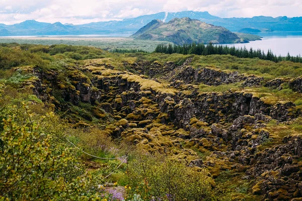 Culpa Tectónica Parque Nacional Iceland Verano Tiempo Soleado Musgo Rocas —  Fotos de Stock