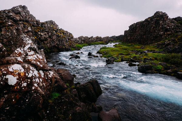 mountain river among cliffs and rocky shores with clear water in the summer national park of Iceland