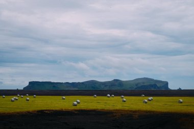 Kasvetli tarlalar, volkanik kayalar ve yaz mevsiminde İzlanda 'nın güneyinde çimen briketleri biriktirdim.