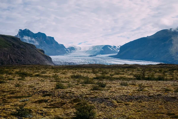 Вид Горы Поля Ледники Летнем Национальном Парке Ледников — стоковое фото