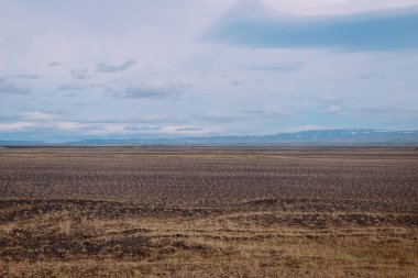 Güneşli bir günde İzlanda 'da bozkıra kadar uzanan minimalist yaz manzarası.