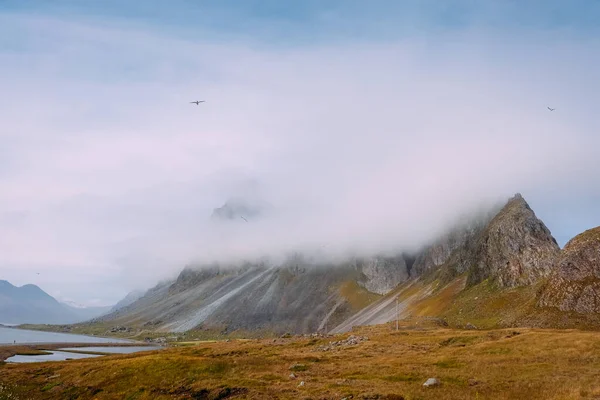 夏のアイスランドの霧の中の苔と山のある黄色のフィールド — ストック写真