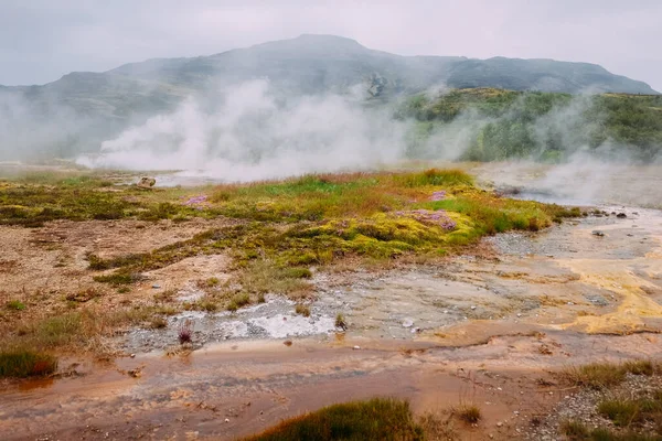 Valle Géiser Iceland Verano Vapor Que Sube Las Aguas Termales —  Fotos de Stock
