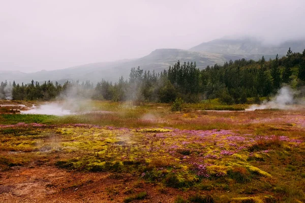 Geyser Valley Iceland Summer Steam Rising Hot Springs — Stock Photo, Image