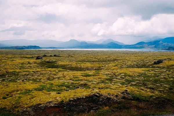 Зеленые Поля Лавы Покрытые Мхом Горизонта Гор Исландии Летом — стоковое фото
