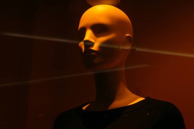 Vitrinde portre mankeni kafası kapat