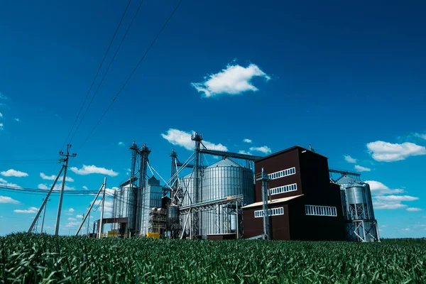 Metalen Tanks Voor Het Opslaan Van Graan Het Voeden Van — Stockfoto