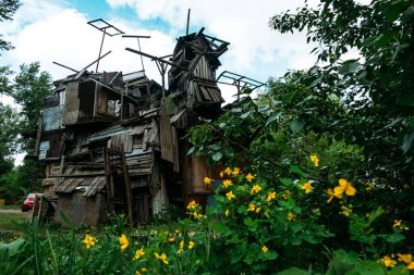 Yaşlı ahşap, çürük, zavallı güvercin gün boyu yeşil çalılıklarda saklanır.