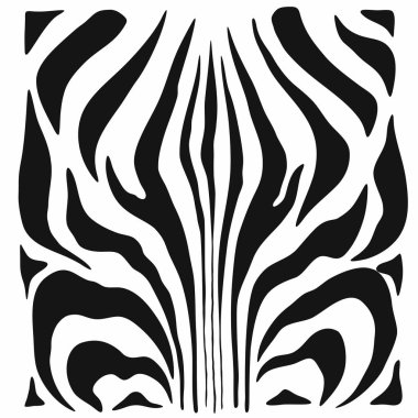 Zebra deri, çizgili desen. Hayvan yazdırma. Siyah ve beyaz arka plan. Vektör doku.